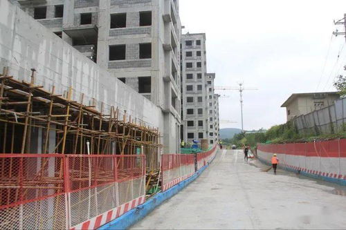 白泉休闲健身公园与赭山山体公园建设进展 人居环境再升级，城市绿肺焕新生